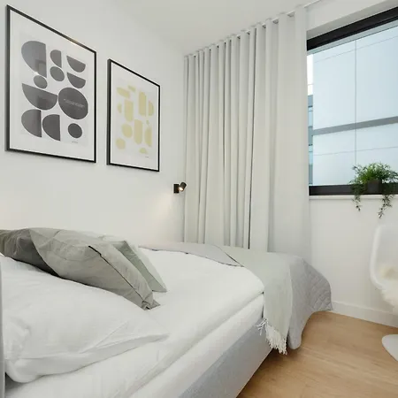 Deluxe In The Center By Renters Apartment