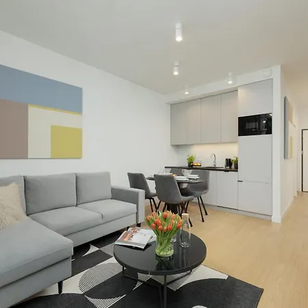 Deluxe In The Center By Renters Apartment